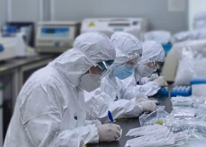 新冠疫情整个过程，新冠疫情整个过程图片