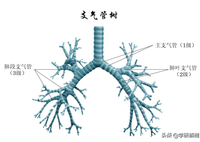 中国新冠疫情发生时间表，中国新冠疫情发生时间表格