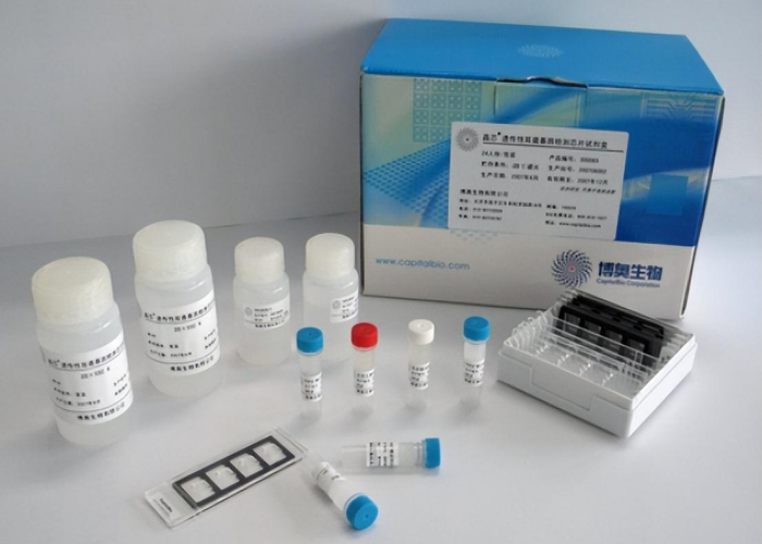 疫情是哪一年放开的?，疫情从哪一年开始的