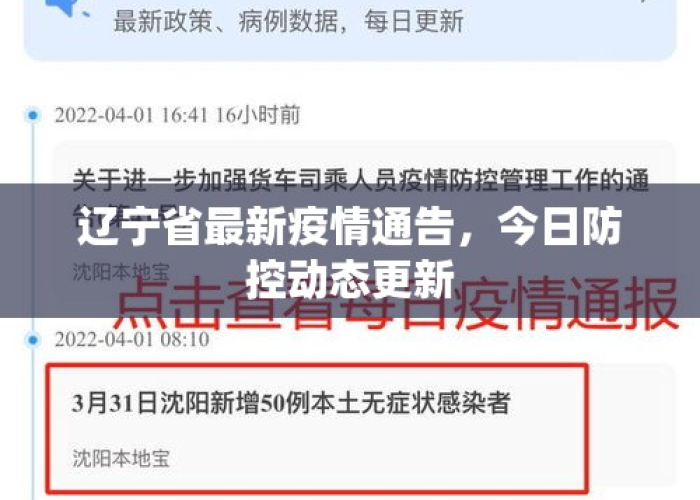 疫情最新动态辽宁，疫情最新情况辽宁