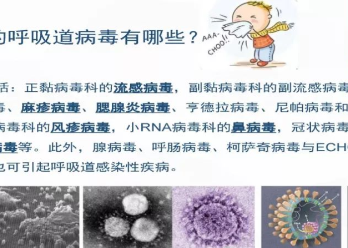 新冠肺炎疫情大概什么时候结束的，新冠状病毒肺炎疫情什么时候能结束