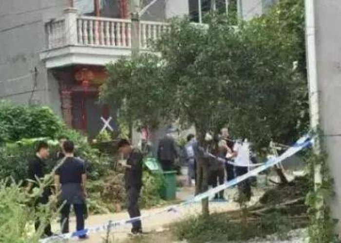 武汉疫情灭门惨案，武汉疫情灭门惨案纪实