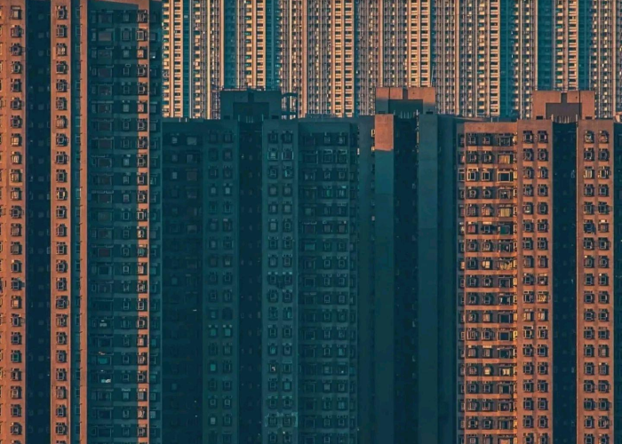 2019年出生率低的吓人疫情，2019出生率下跌