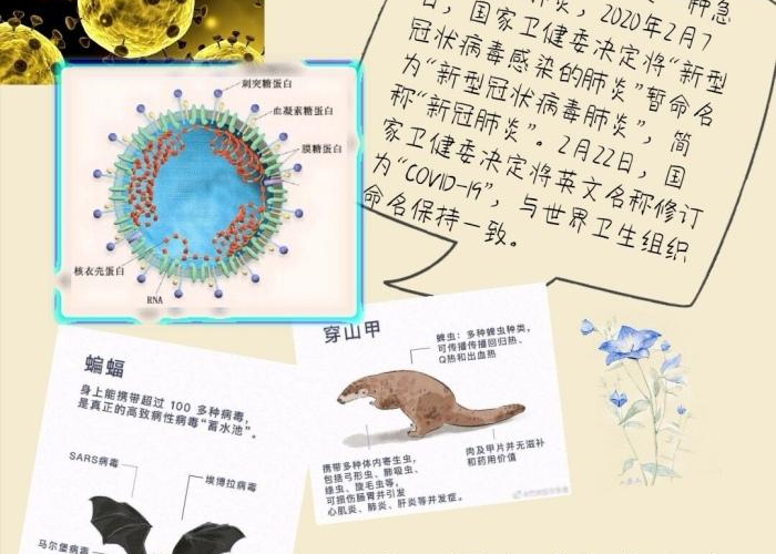 三年疫情背后的真像，疫情持续3年