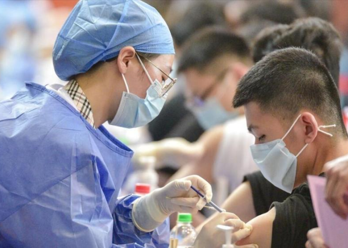 国内疫情最新死亡人数详情，国内疫情最新死亡数据