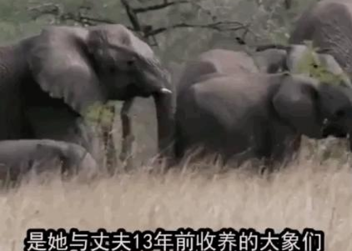 疫情那年爆发的，疫情哪年爆发的