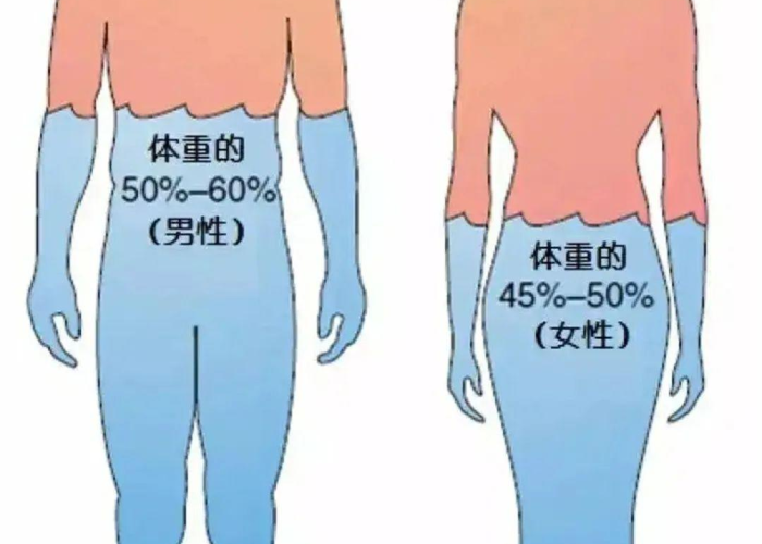 疫情是什么东西?，疫情是什么东西传染的