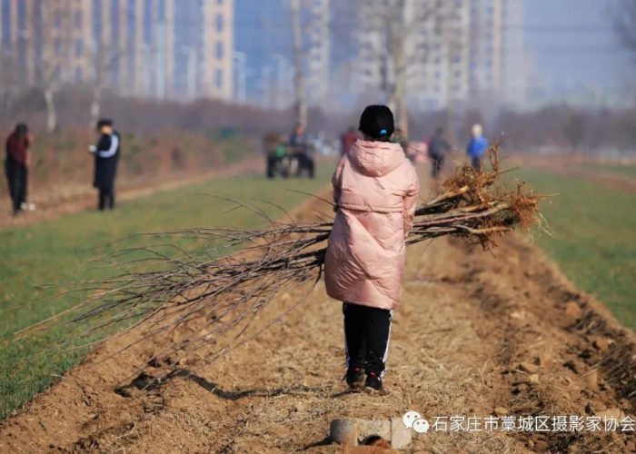 藁城疫情从什么时候开始的，藁城疫情从什么时候开始的啊