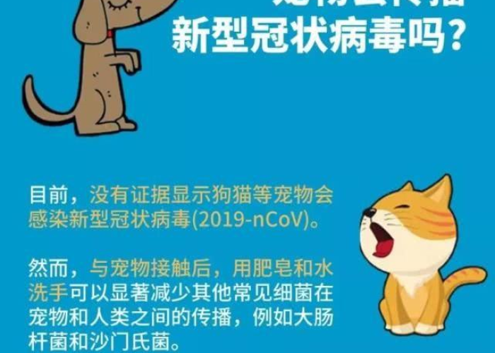09年疫情大爆发的原因，09年病毒的疫情
