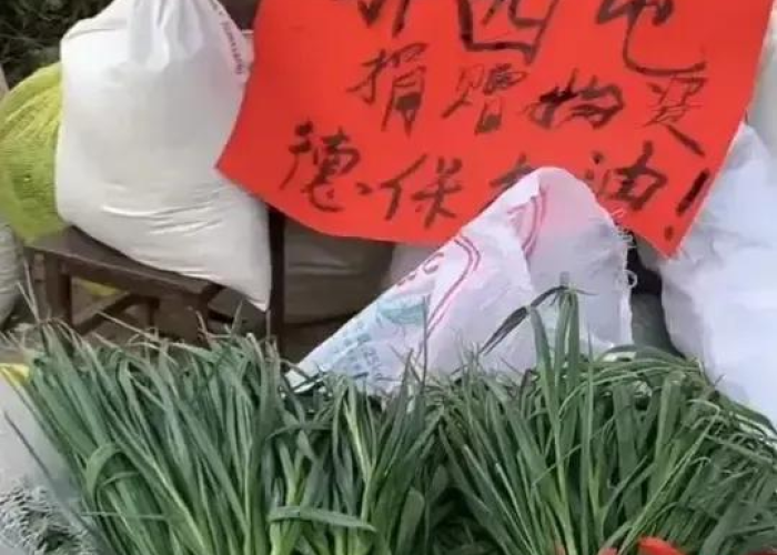 广西百色疫情被骂原文，广西百色疫情被骂原文图片