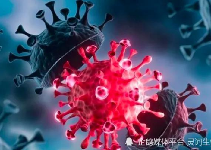 新冠疫情什么时候开始风控，新冠疫情什么时候开始风控的