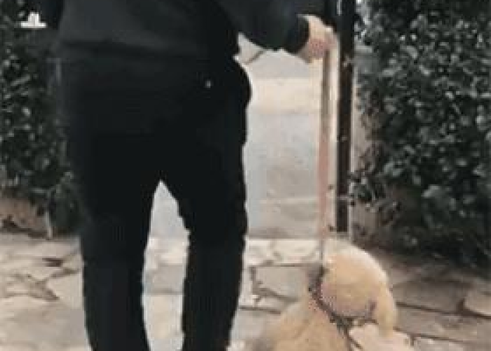 疫情何时开始封城，疫情是几月开始封城的