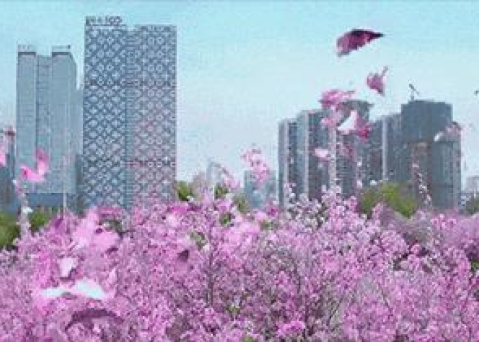 疫情什么时候开放呢最新消息新闻，疫情什么时候开始放假