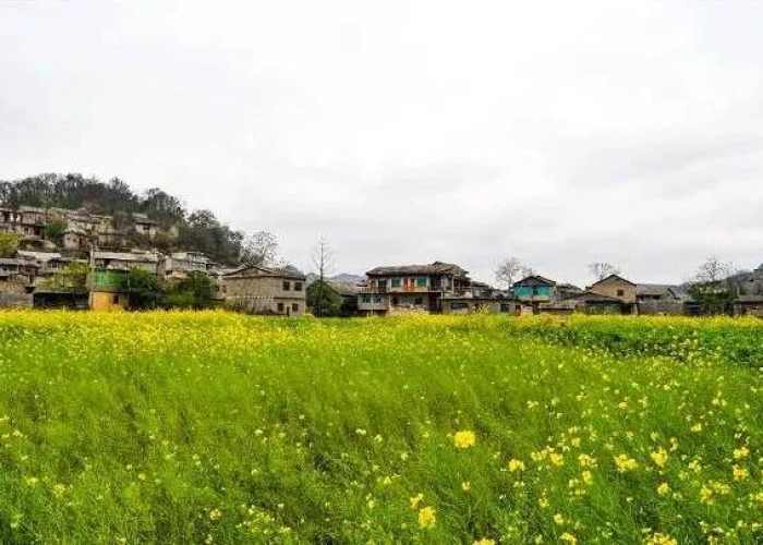 贵州疫情最新情况发布会直播，贵州疫情最新通报公告