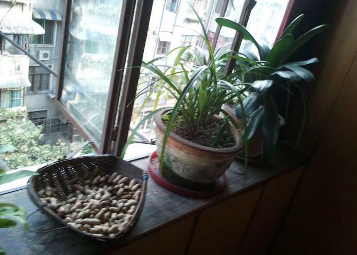中国疫情结束的时间是几月几号，我国的疫情,终于要结束了!时间已公布