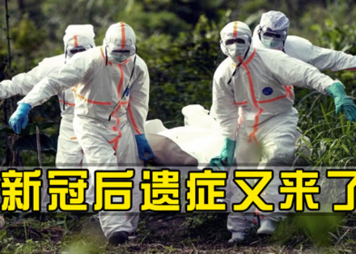 新冠疫情在哪年开始的，新冠疫情在哪一年发生的