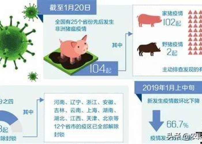 非洲疫情真实数据，非洲疫情报告