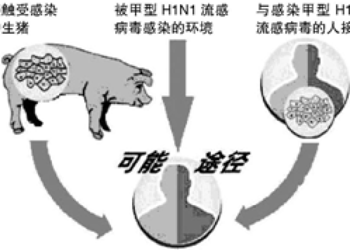 疫情是什么病毒传染肠胃吗，疫情是什么病毒传播的