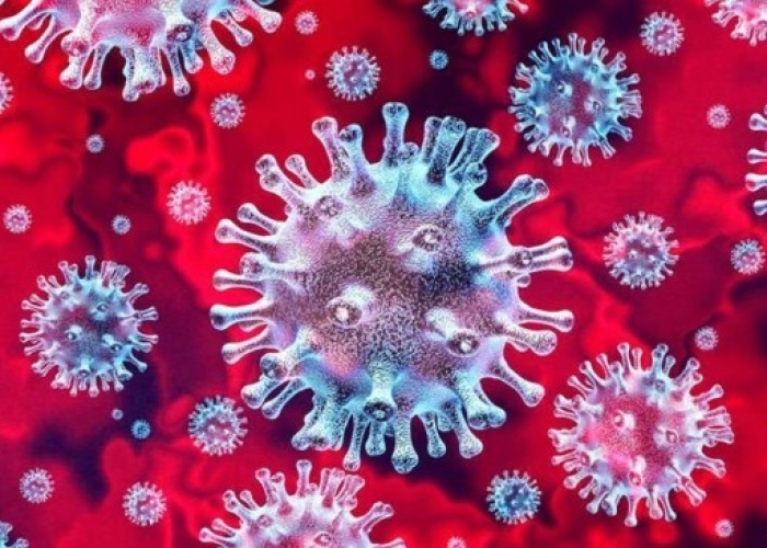 疫情病毒简称，疫情病毒简称英文