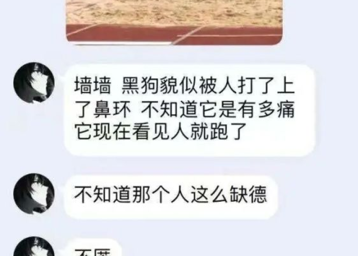 上海疫情内鬼是谁，上海疫情源头找到了吗