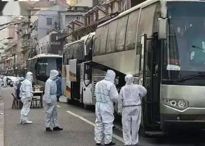 上海疫情抓嫖，上海最近抓了很多人