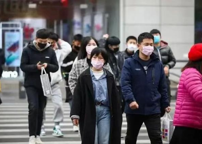 请问疫情是哪一年开始的，疫情是哪时候开始的