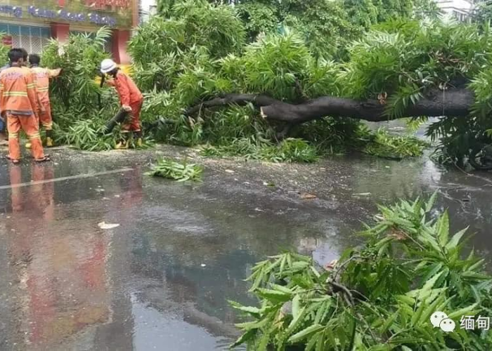 疫情开始与结束时间，疫情结束时间