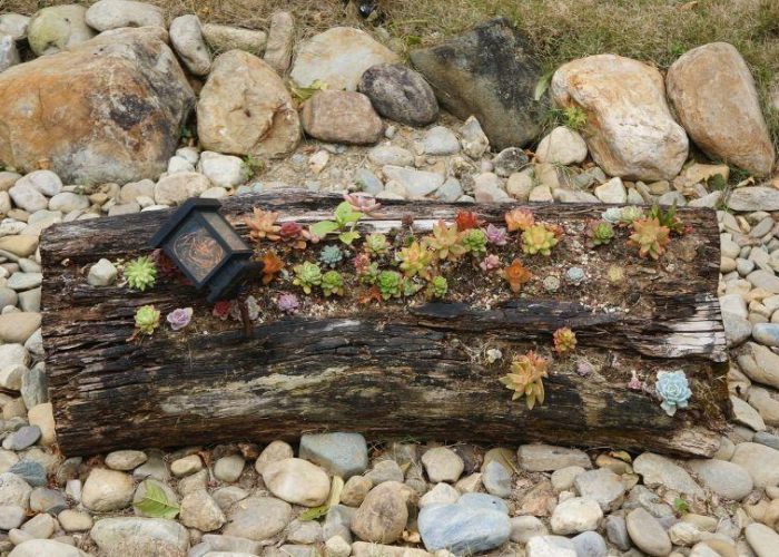 家庭是否遭受疫情什么意思，家庭遭受疫情具体情况
