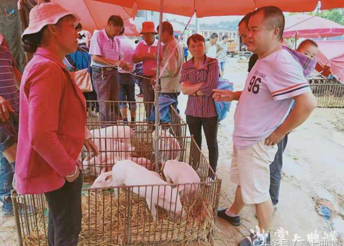 疫情是在几几年爆发的?，疫情出现在几几年