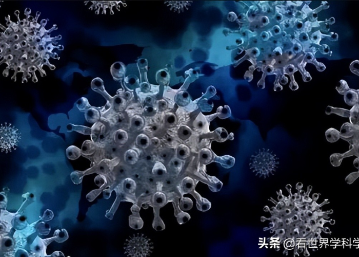 新冠疫情是哪一年开始的病毒变异，新冠疫情是哪一年开始的病毒变异了