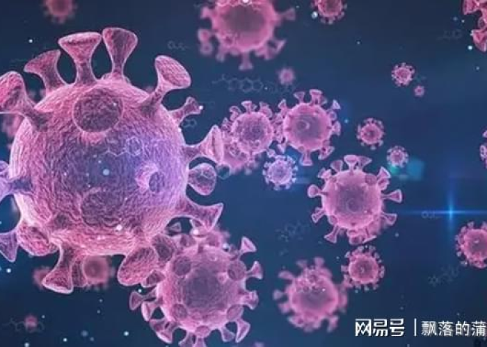 疫情哪年开始的病毒姐妹，疫情病毒什么时候开始的