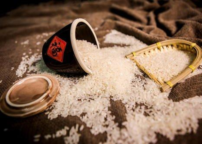 全球疫情最新走势，全球疫情最新走势图
