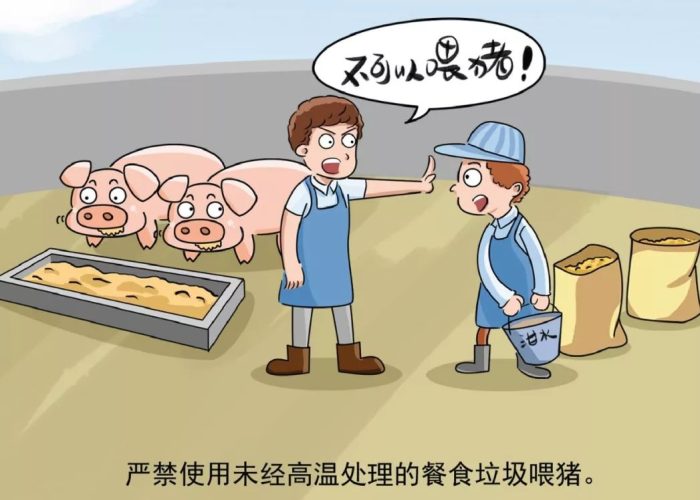 海南疫情是哪一年发生的，海南疫情是怎么感染的