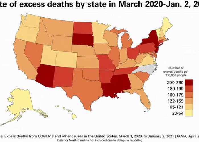 疫情最新数据消息中国死亡人口，中国疫情最新死亡率