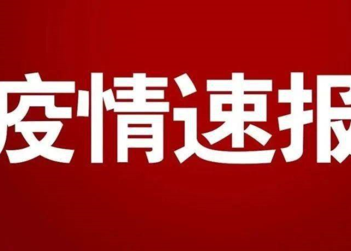 重庆疫情最新通报公告，重庆疫情最新通报公告消息