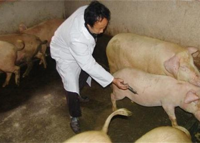 疫情最新消息今天重庆，重庆疫情最新状态