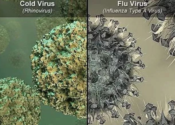 去年疫情是什么病毒感染，去年疫情和今年疫情
