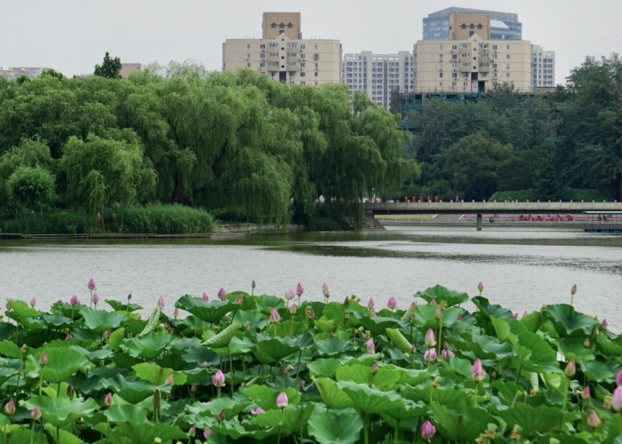 北京疫情何时解除，北京疫情大概什么时候解除