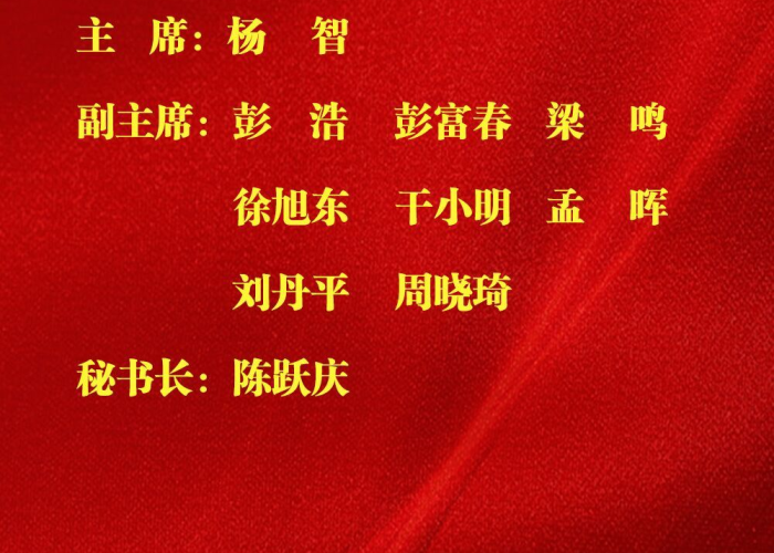武汉疫情领导班子追责，武汉疫情领导小组成员名单
