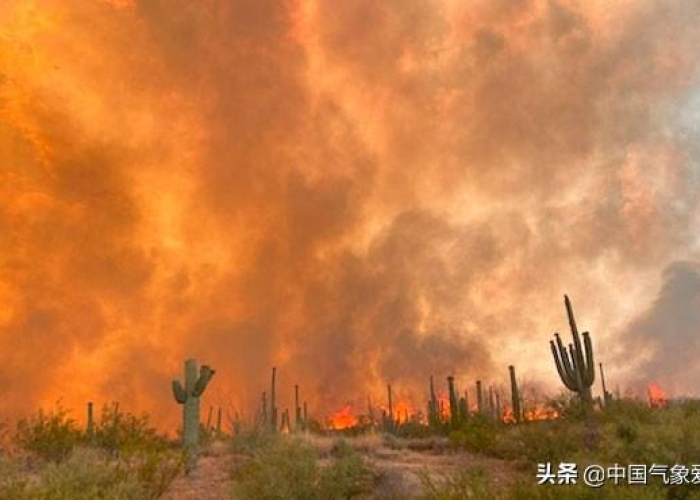 疫情是在哪年爆发的?，疫情是在哪一年