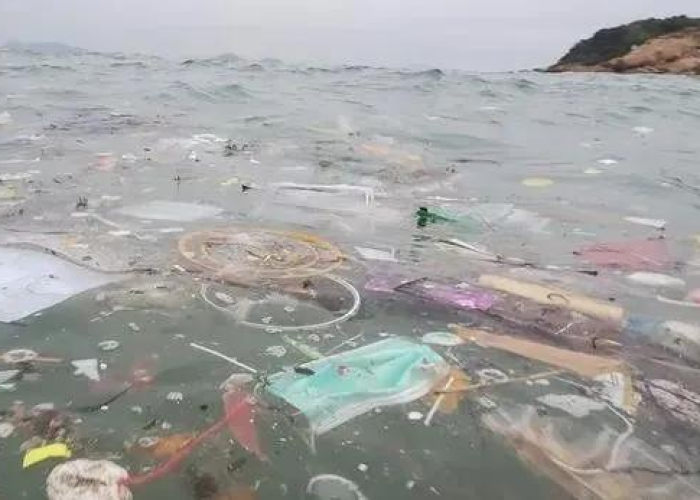 三年疫情是从哪年开始的，3年疫情可结束吗