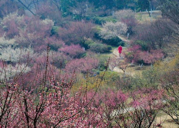南京疫情开始和结束时间，南京疫情开始和结束时间是几点