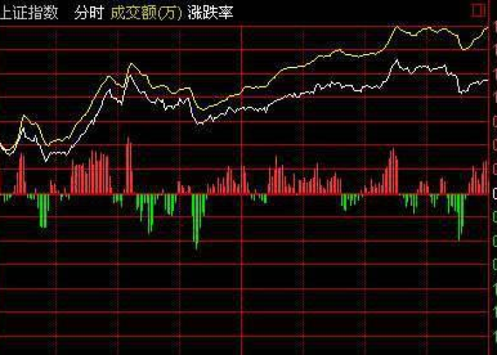 疫情期间哪个股票涨得最高呢，疫情期间什么股票涨得最多