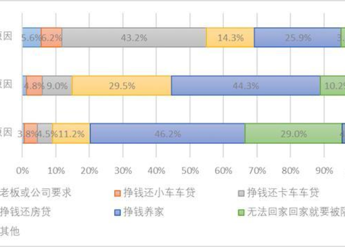 2020年疫情起因是什么，2020年疫情爆发的主要原因