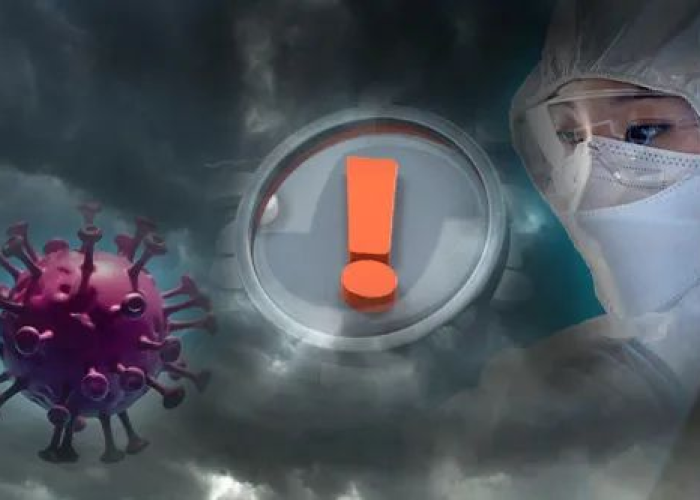 新冠肺炎疫情是哪一年开始的，新冠肺炎疫情哪年爆发