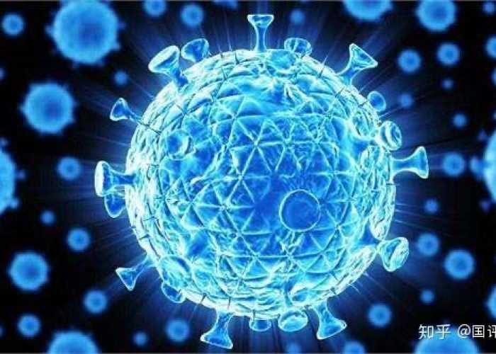 2020年疫情是什么病毒呢，2020年疫情叫什么病毒
