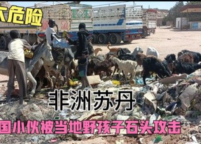 非洲疫情爆发，非洲疫情速度惊人