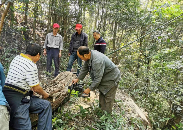 2019疫情什么时候结束，19年疫情什么时候结束的