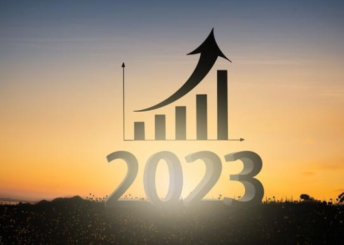 2023年的疫情叫什么，2023年疫情结束了吗