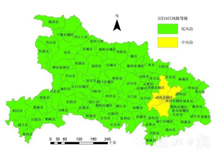 疫情是哪一年开始的，湖北武汉疫情是哪一年开始的
